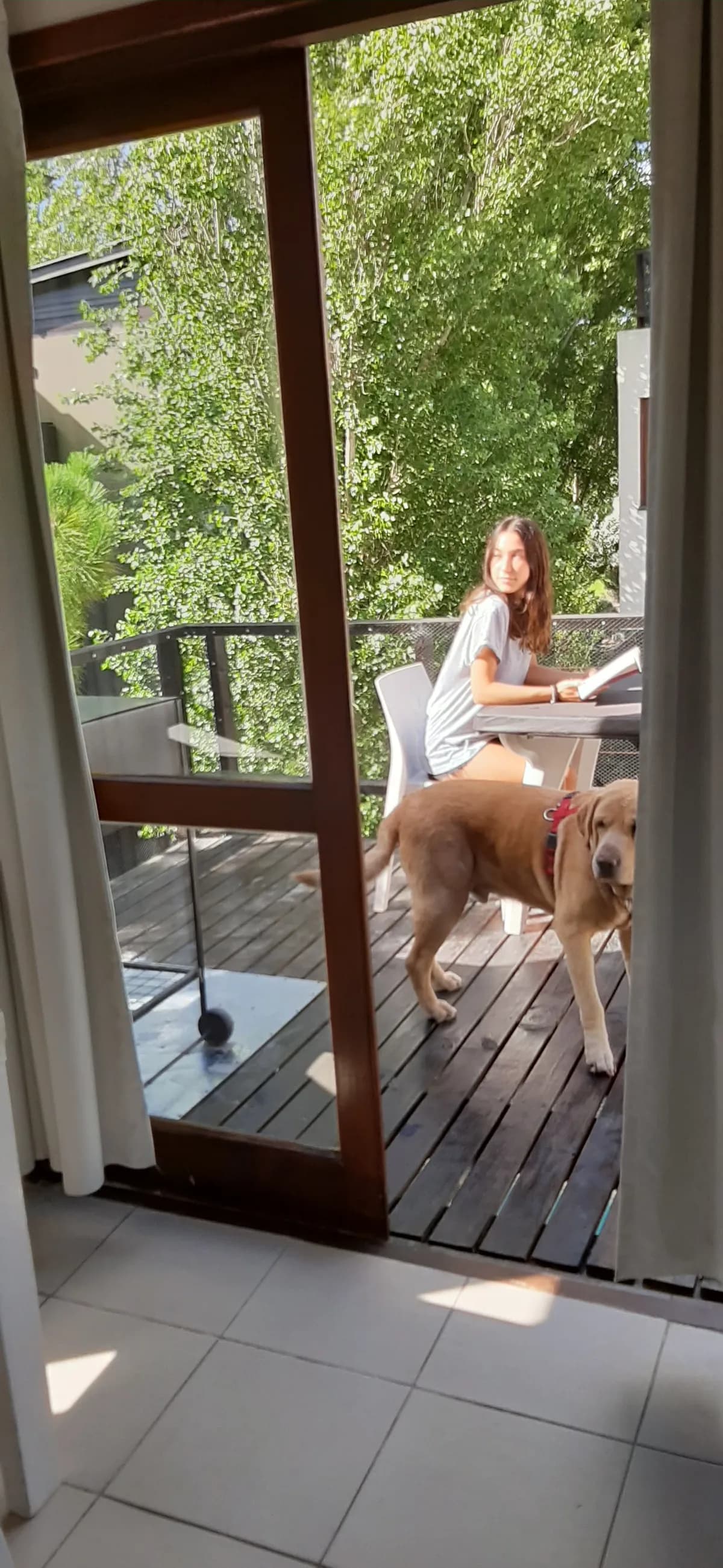 La salida al balcón: desayuno con la mascota