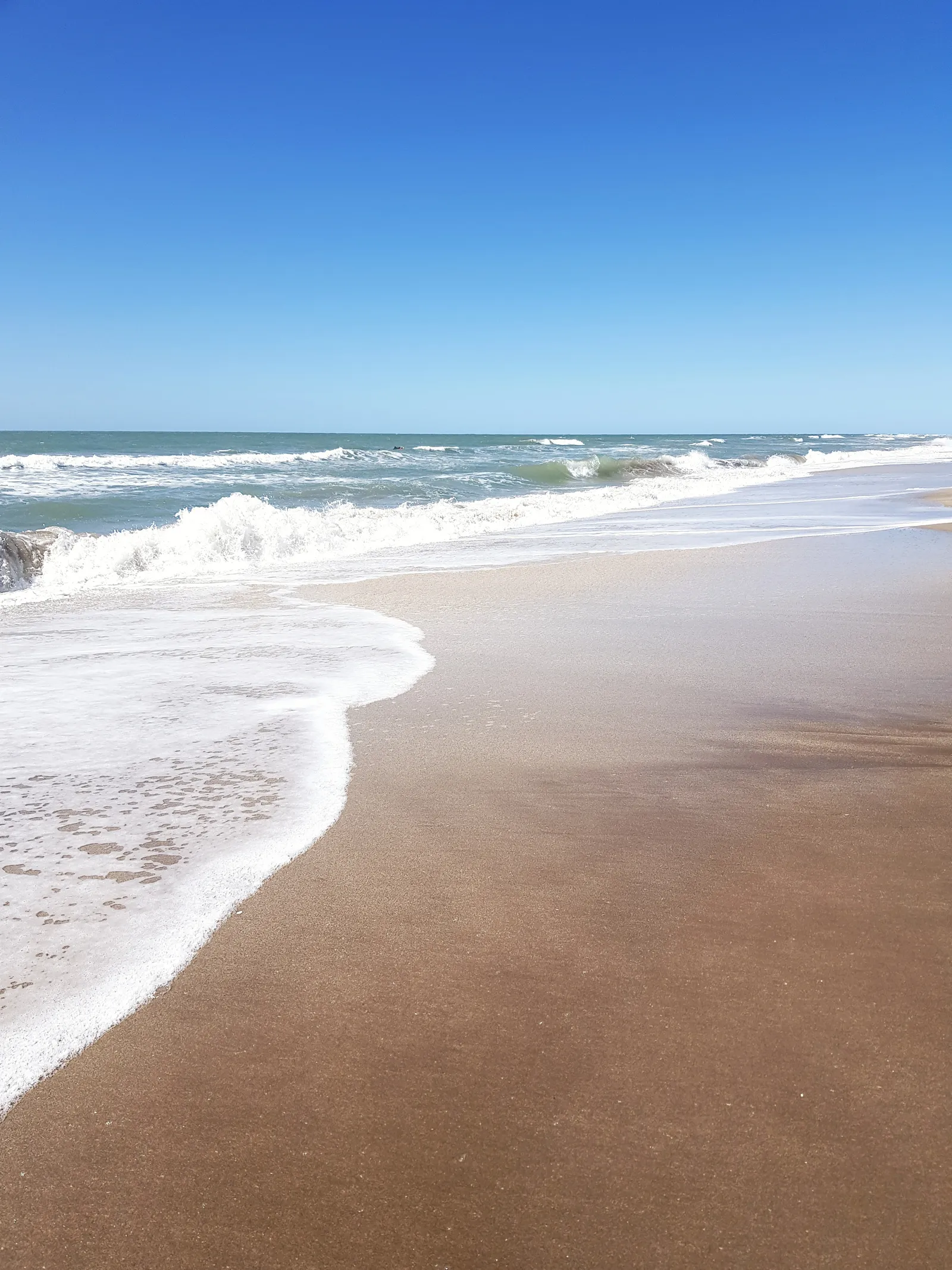 La playa de Las Gaviotas, a 250 metros del apart
